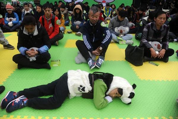 11月18日，首屆全國“發呆大賽”首站在成都寬窄巷子舉行。3