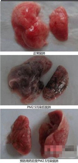 霧霾謠言大起底 你能識破多少個？