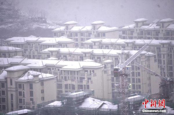 1月23日，重慶主城區迎來罕見大雪天氣，一小區綠化帶變成了白茫茫的雪地。圖為樓頂上積滿了白雪。 陳超 攝