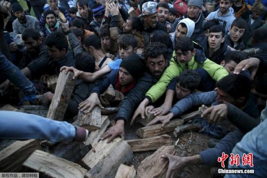 當地時間2016年3月6日，希臘Idomeni，滯留希臘與馬其頓邊境的移民蜂擁爭搶木柴。