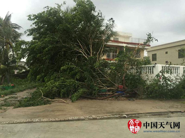 臺風“銀河”襲海南海陸交通受阻 風雨明天結束