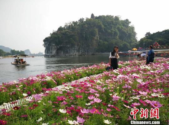 10月6日，游客在桂林城徽象山景區游玩。　歐惠蘭 攝