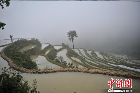 探訪世界遺產哈尼梯田：遭遇農業人口外流危機