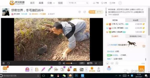 萬人圍觀捕殺野生動物 多家直播平臺現(xiàn)打野直播