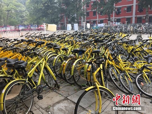 資料圖。北京某所高校內的共享單車數量驚人。<a target='_blank' href='http://www.chinanews.com/' >中新網</a> 吳濤 攝