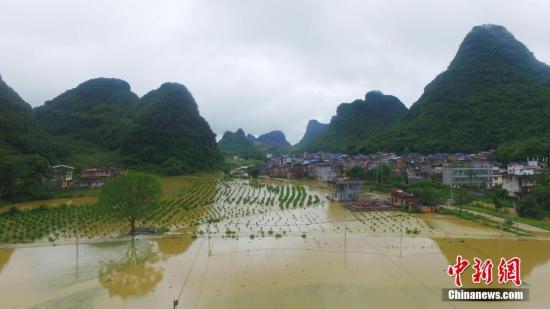 資料圖：廣西融安縣泗頂鎮儒南村拍攝被洪水淹沒的農田。譚凱興 攝