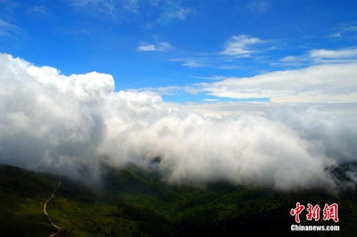 資料圖：神農(nóng)架現(xiàn)云海奇觀。 周星亮 攝