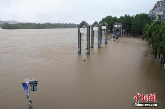 受新一輪連續強降雨影響，8月15日2時10分，漓江桂林水文站出現147.51米洪峰水位，超警戒水位1.51米，為今年最大洪水。當天漓江旅游船舶、排筏全線封航。 趙琳露 攝