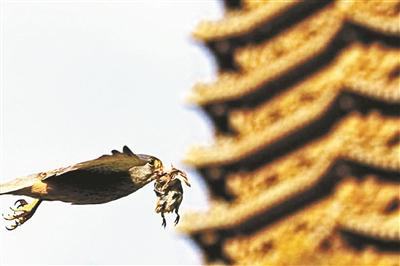 點擊進入下一頁