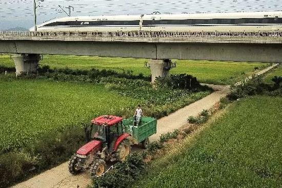 媒體：農村土地市場再放開些 也亂不起來