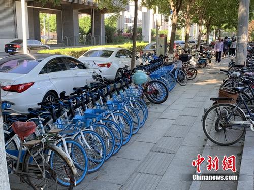 北京某郊區地鐵口的共享單車。<a target='_blank' href='http://www.chinanews.com/' >中新網</a> 吳濤 攝