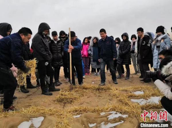 圖為深圳師生體驗莫高窟治沙工程，親手種下了一方草方格。　杜玉磊 攝